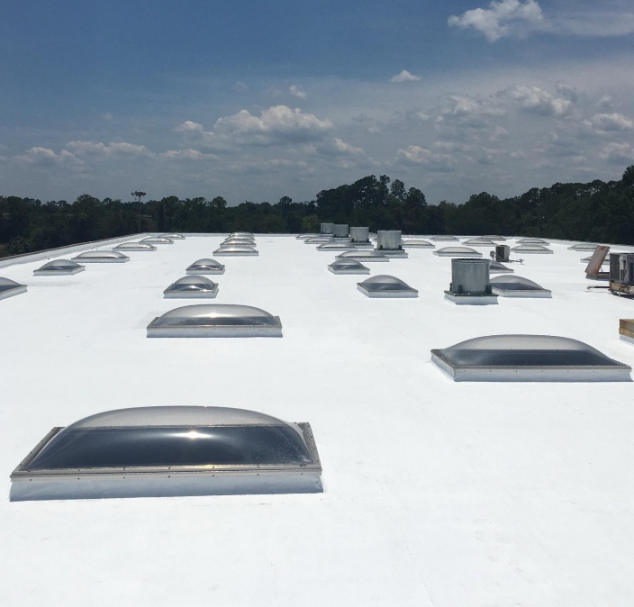 skylights on a commercial roof